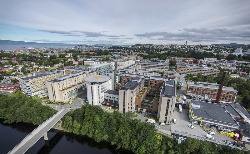Lenke til artikkel: Informasjon om følgetjeneste for gravide I Rindal