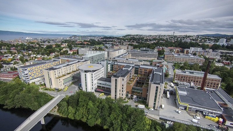 Lenke til artikkel: Informasjon om følgetjeneste for gravide I Rindal