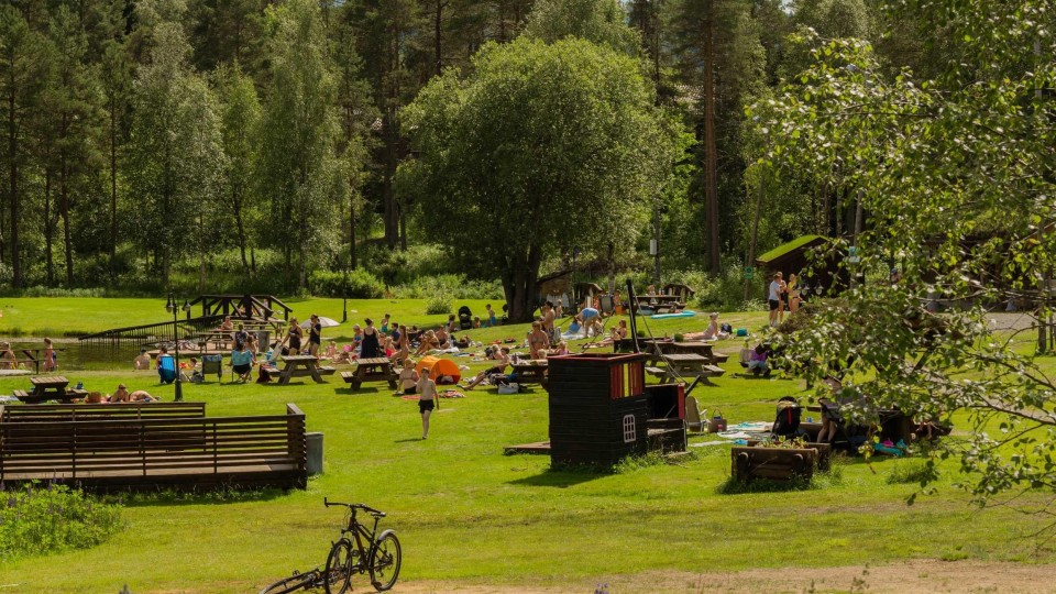 Lenke til artikkel: Kommuneplan for Rindal kommune - høring om samfunnsdelen og oppstart for arealdelen - frist 10. september 2025