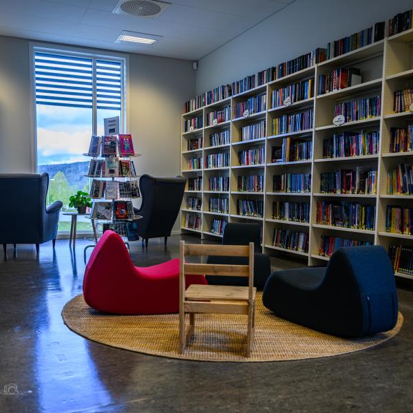 Rindal bibliotek